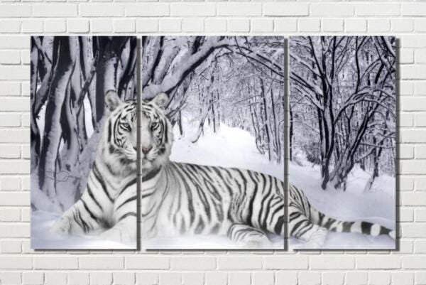 Quadro Tigre Branco Na Neve 3 Peças - 1