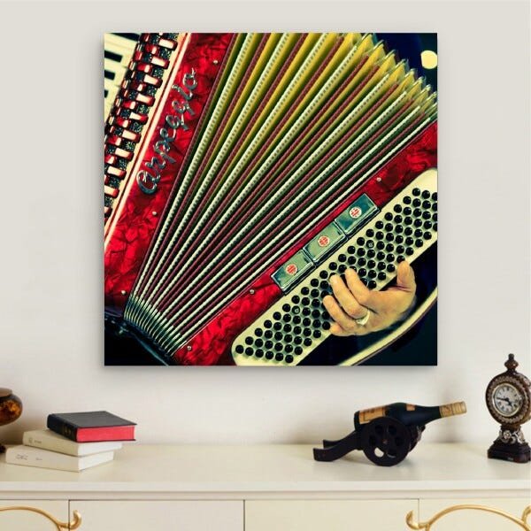 Quadro decorativo Sanfona Acordeon 60x60 em Tecido - 4