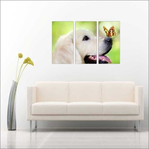 Quadro Cão Animais Colorido 3 Peças Salas Moldura Decorar - 3