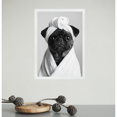 Quadro para Banheiro Cachorrinha Pug de Roupão 24x18cm - com Vidro:moldura Branca