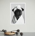 Ver imagem 1 de Quadro para Banheiro Cachorrinha Pug de Roupão 24x18cm - com Vidro:moldura Branca
