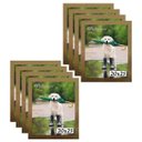 Ver imagem 1 de Kit 8 Porta Retrato Molduras 20x25 Dourado