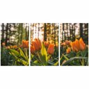 Ver imagem 2 de Quadro Flores Natureza Paisagem Conjunto 3 Peças em Tecido