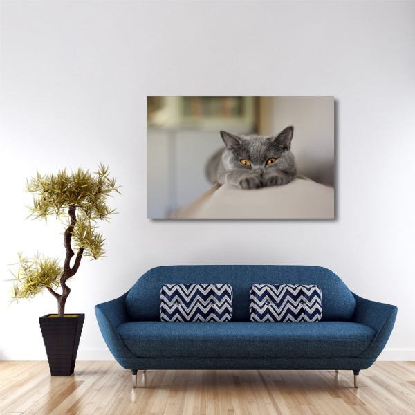 Quadro decorativo Gatinho com Tela de Tecido - 1