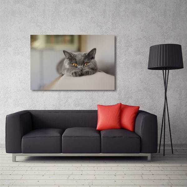 Quadro decorativo Gatinho com Tela de Tecido - 3