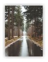 Ver imagem 1 de Quadro Decorativo Paisagens Variadas Sem Moldura Modelo 12