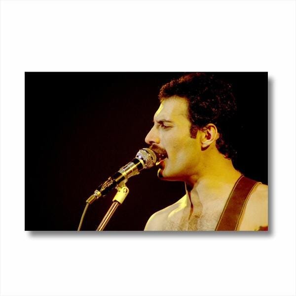 Quadro decorativo Fredie Mercury Retro Tela em Tecido - 3