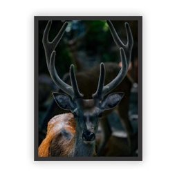 Quadro Decorativo Paisagens Variadas Moldura Preta Mod 06 - 1