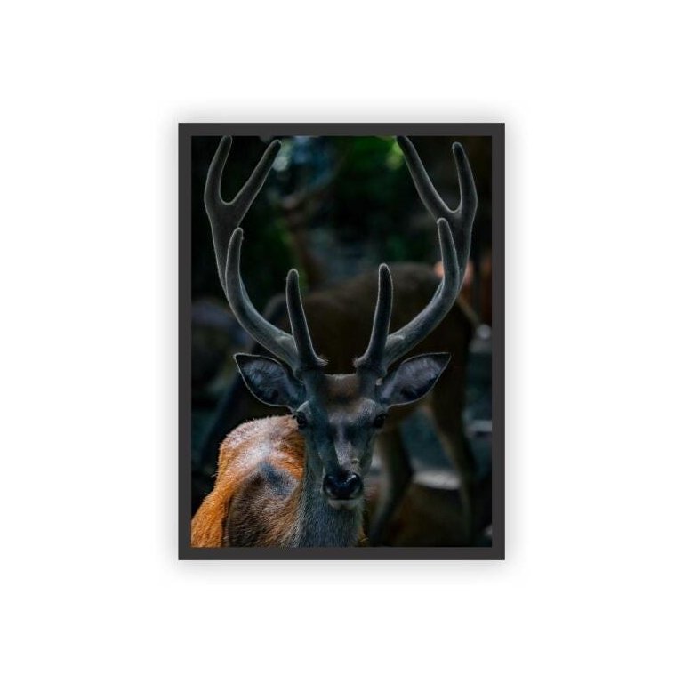 Quadro Decorativo Paisagens Variadas Moldura Preta Mod 06 Quadro Decorativo Paisagens Variadas Moldura Preta Mod 06
