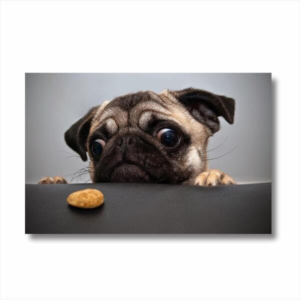 Quadro decorativo Cachorro Pug com Tela de Tecido - 3