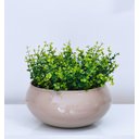 Ver imagem 3 de Arranjo de Folhagem Verdinho Artificial e Vaso Bege Grande