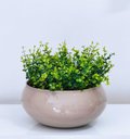 Ver imagem 3 de Arranjo de Folhagem Verdinho Artificial e Vaso Bege Grande