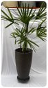 Ver imagem 2 de Kit Vaso Planta + Suporte Rodízio 65x40 Oval Moderno Polietileno