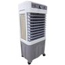 Climatizador de Ar Industrial Portátil Evaporativo 45l 110v - 2
