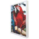 Ver imagem 2 de Quadro Decorativo Arara Vermelha em Moldura Caixa Tacolado Moldura Trad 1cm Preta com Vidro 40 X 60c