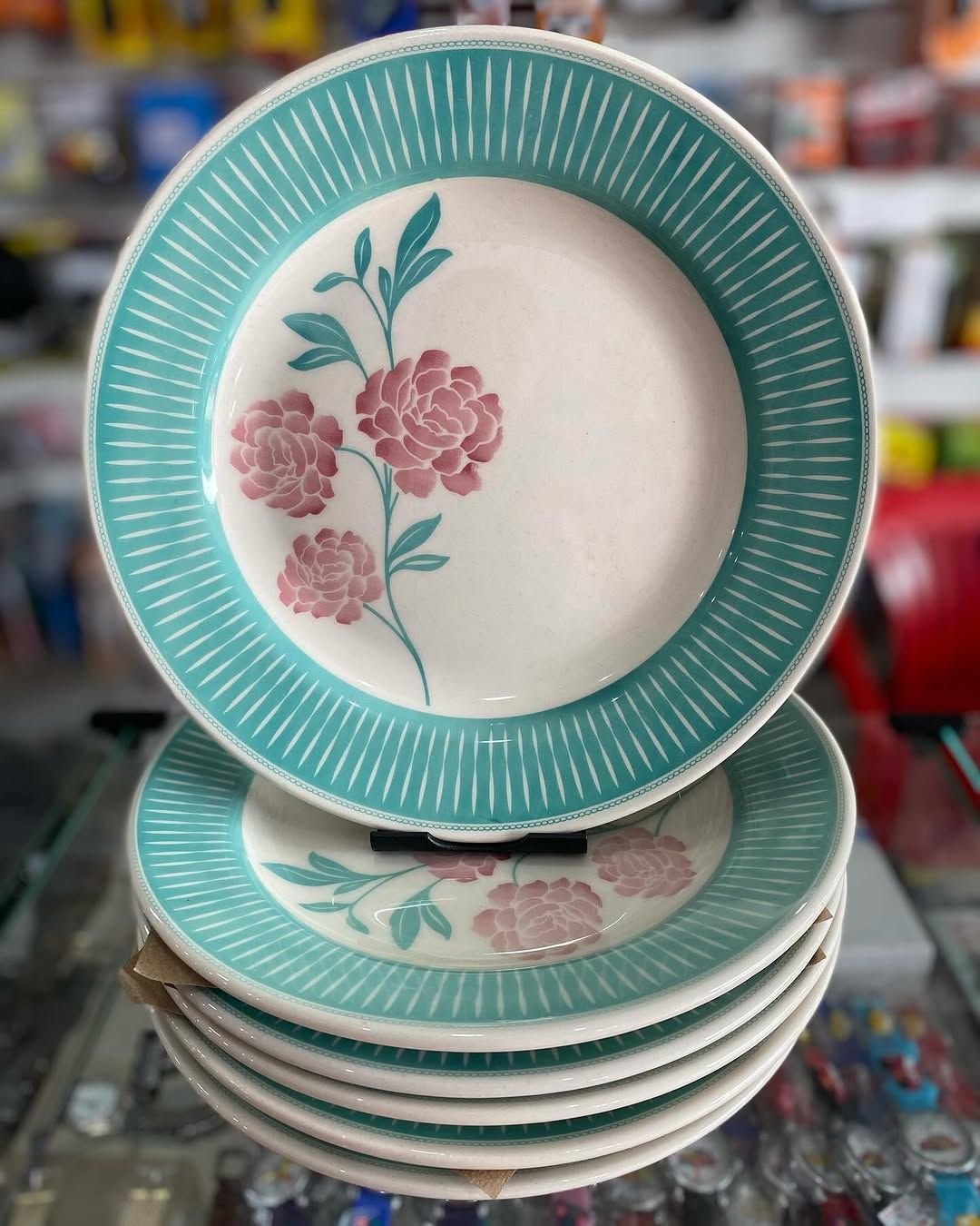 Jogo de Pratos Raso Porcelana Donna Bloom Oxford 24cm - 6 Pratos - 3