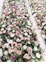 Ver imagem 3 de Jardim Vertical Realista Flores Artificiais Permanente 1mt