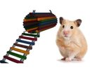 Ver imagem 5 de Brinquedo Aves Roedores playground toca casinha ponte escada