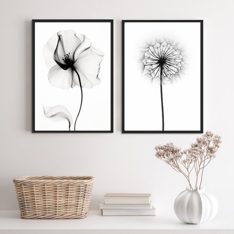 Kit 2 Quadros Minimalistas Modernos Fotos flores 45x34cm - com Vidro:madeira Preta