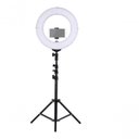 Ver imagem 1 de Ring Light Iluminação Regulável Lâmpada + Tripé 2,1m