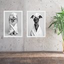 Ver imagem 2 de Kit 2 Quadros Divertidos para Banheiro Cachorrinhas 45x34cm - com Vidro:moldura Branca