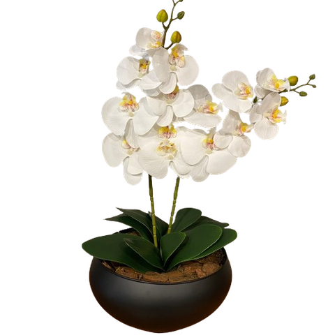2 Orquídeas Branca Artificial Arranjo Centro de Mesa Vaso Grande Decore Fácil Shop