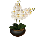 Ver imagem 1 de 2 Orquídeas Branca Artificial Arranjo Centro de Mesa Vaso Grande Decore Fácil Shop