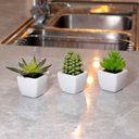 Ver imagem 3 de Kit 06 Suculentas Artificial Sortida Vaso Branco 6x6 cm - D'Rossi