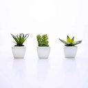 Ver imagem 5 de Kit 06 Suculentas Artificial Sortida Vaso Branco 6x6 cm - D'Rossi