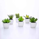 Ver imagem 1 de Kit 06 Suculentas Artificial Sortida Vaso Branco 6x6 cm - D'Rossi