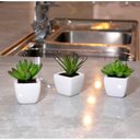 Ver imagem 4 de Kit 06 Suculentas Artificial Sortida Vaso Branco 6x6 cm - D'Rossi