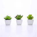 Ver imagem 6 de Kit 06 Suculentas Artificial Sortida Vaso Branco 6x6 cm - D'Rossi