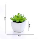 Ver imagem 7 de Kit 06 Suculentas Artificial Sortida Vaso Branco 6x6 cm - D'Rossi
