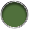 Cor Sólida Verde Grama Ag - Ral6010 - 2