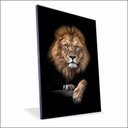 Ver imagem 1 de Quadro Leão Soberano Canvas com Vidro