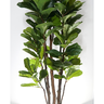 Planta Árvore Folhas Ficus Lyrata Grande para Decoração Verde Real - 2
