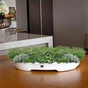 Ver imagem 2 de Vaso Bacia Decorativo Osaka Branco P 7x46x35 cm - D’Rossi