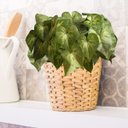 Ver imagem 7 de 10 Buquês Artificiais com Folhagens Verde Realista para Arranjos Modernos e Decoração Moderna