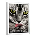 Ver imagem 1 de Quadro Motivacional Gato com Independência - Moldura Branca - 30x40cm