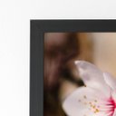 Ver imagem 2 de Quadro Cerejeira Okinawa Flores Foto Moldura Preta 60x40cm