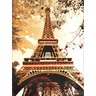 Tapete Rayza Epic Art Torre Eiffel 2.00m X 2.50m - 1