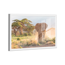 Ver imagem 1 de Quadro Elefante Savana -- BR ARTES