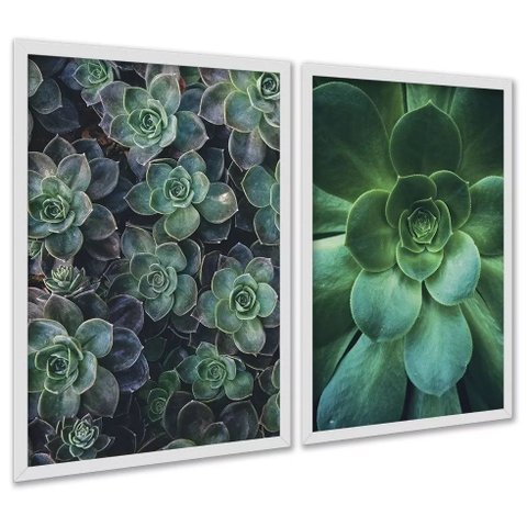 Kit 2 Quadros Decorativos Suculentas 45x34cm - com Vidro:moldura Branca