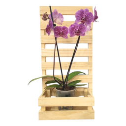 Floreira Treliça de Madeira Jardim Vertical Kit C/3 Paineis Cachepo - 6