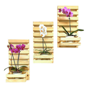 Ver imagem 1 de Floreira Treliça de Madeira Jardim Vertical Kit C/3 Paineis Cachepo
