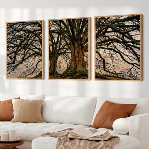 Kit Quadro Decorativo 3 Telas Arvore da Vida e Suas Raízes Tacolado Moldura Caixa 3cm Madeira com Vi