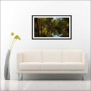Ver imagem 1 de Quadro Paisagens Árvores Reflexo No Lago Decorar