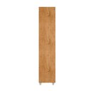 Ver imagem 5 de Guarda Roupa Casal Exellence 2230 Araplac