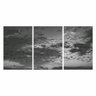 Quadro Pássaros No Céu Em Preto E Branco Em 3 Peças - 5