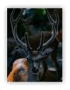 Ver imagem 1 de Quadro Decorativo Paisagens Variadas Sem Moldura Modelo 06